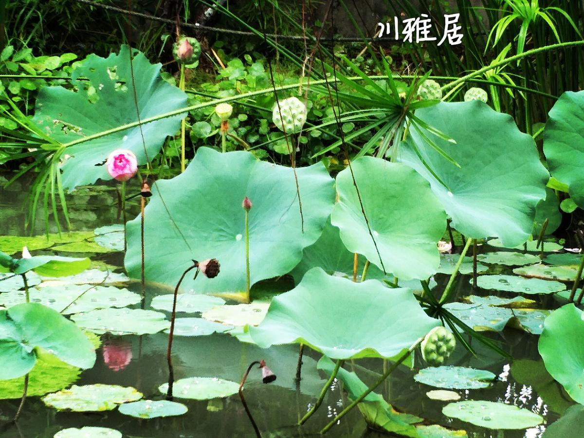 Chuan Ya Ju Homestay Qishan ภายนอก รูปภาพ